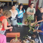 Poá resgata tradição com foco no empreendedorismo e cultivo de orquídeas